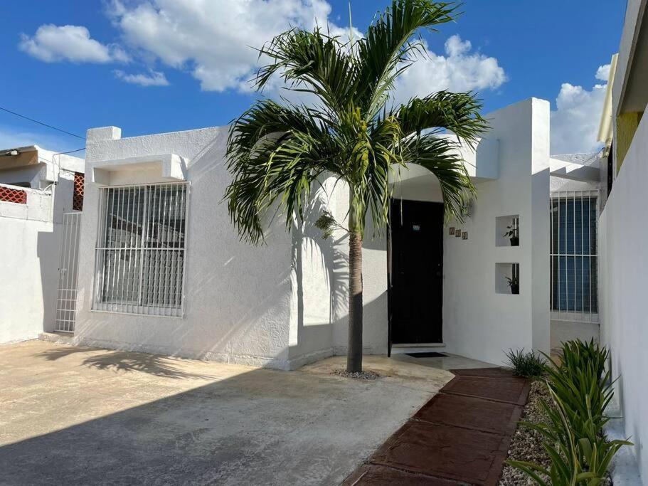 Casa En Puesta Del Sol/Excelente Ubicacion/2 Hab/Wifi/Netflix/Super Comoda Villa Мерида Екстериор снимка